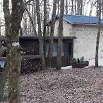 Le De La De L'oiseau *