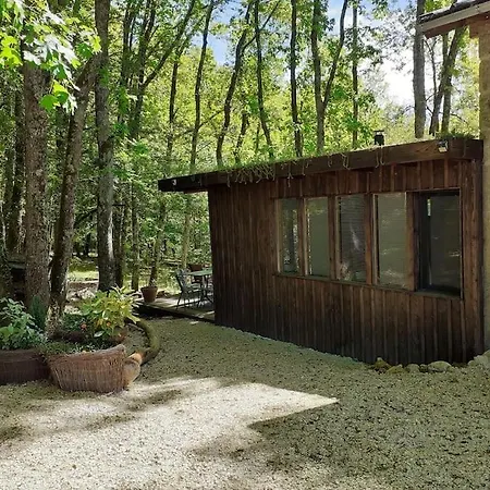 Le De La De L'oiseau