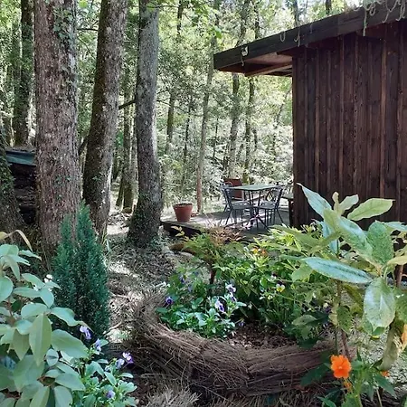 Le De La De L'oiseau