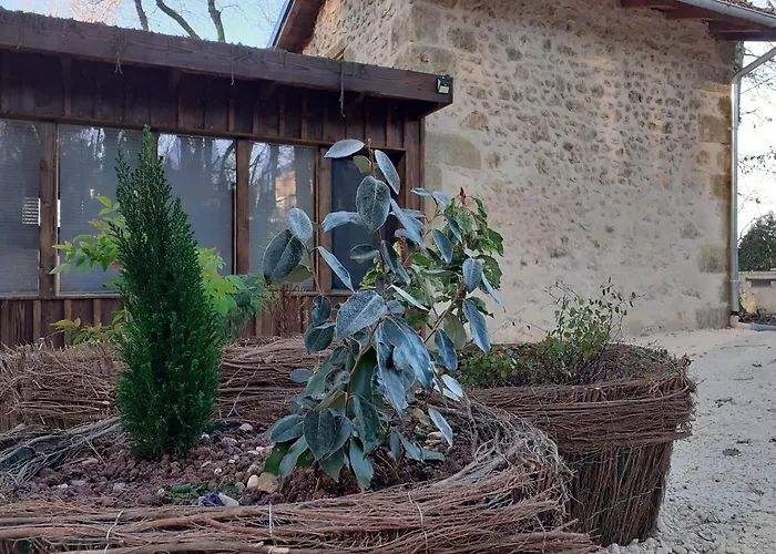 Le De La De L'oiseau Couze-et-Saint-Front