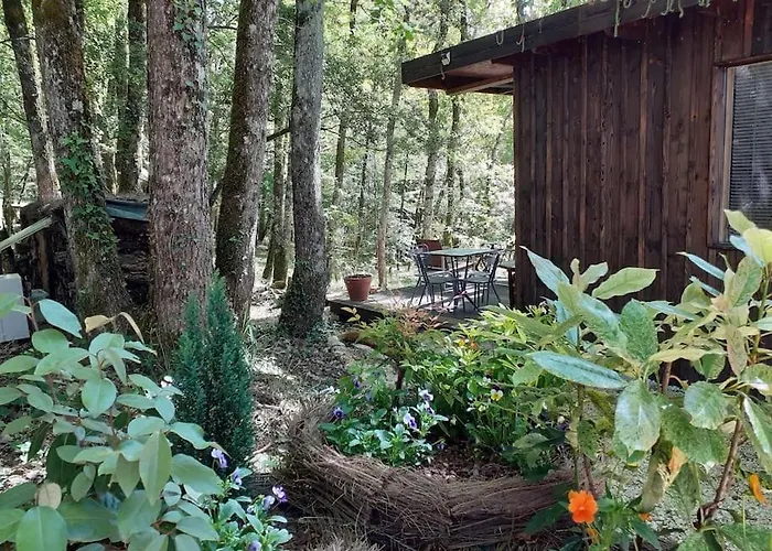 Le De La De L'oiseau