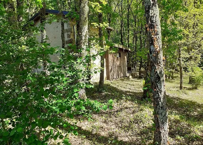 Le De La De L'oiseau Feriehus Couze-et-Saint-Front